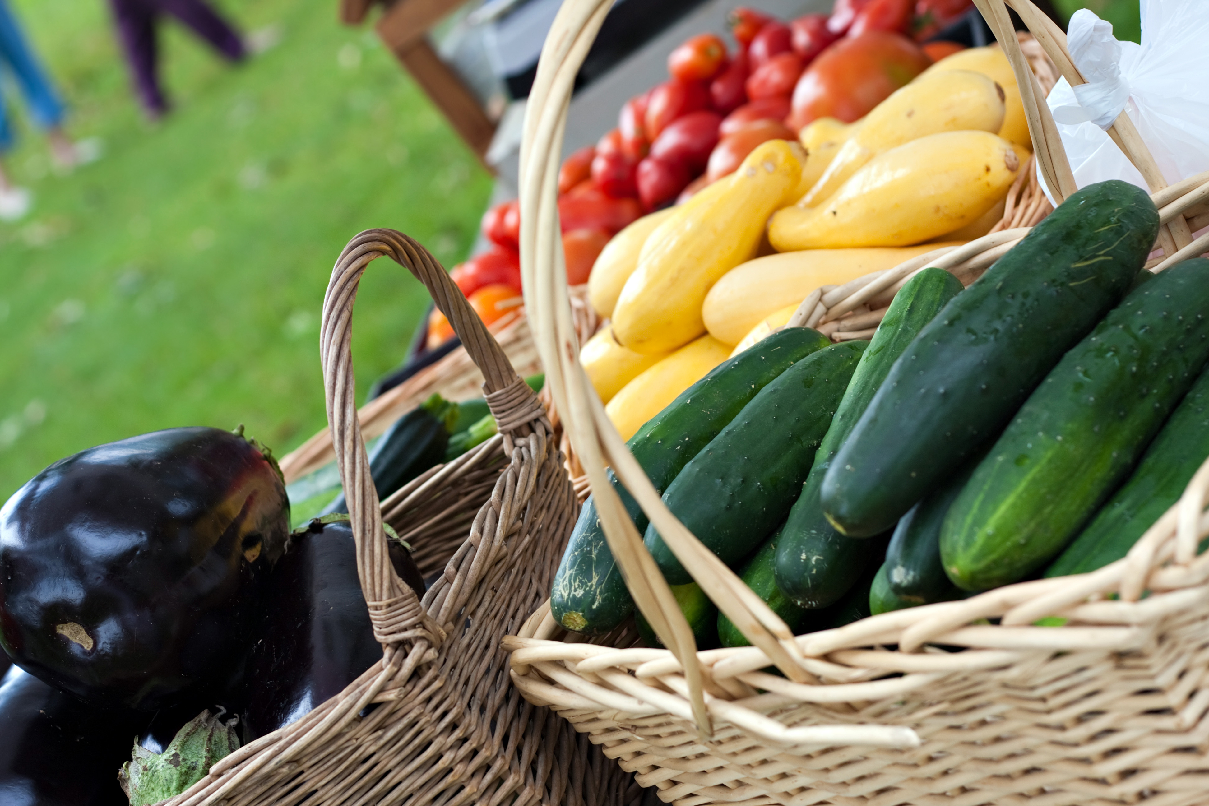 basket of vegetables at farmers market