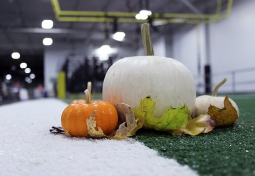 pumpkins on the turf at Spooky Nook Sports complex